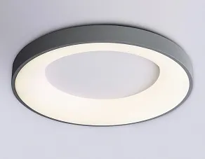 Накладной светильник Ambrella Light FZ FZ1402