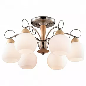 Люстра на штанге Odeon Light Narbo 2658/6C