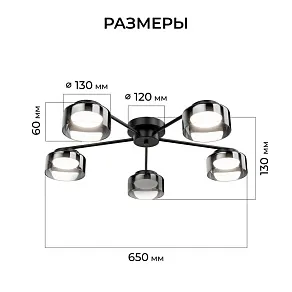 Потолочная люстра Apeyron Electrics  16-226