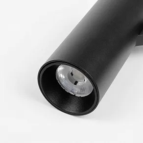 Светильник на штанге Lightstar Due Hermes 210147