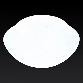 Накладной светильник TopLight Mae TL9400Y-02WH