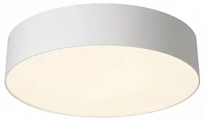 Накладной светильник Citilux BART CL755290