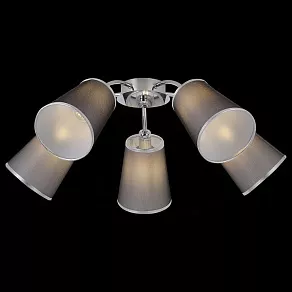 Потолочная люстра EVOLUCE Maleonte SLE103002-05