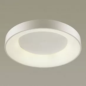 Накладной светильник Odeon Light Sole 4062/80CL