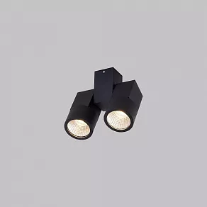 Светильник на штанге Citilux Дубль CL556102