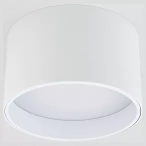 Накладной светильник Elektrostandard Banti 25123/LED