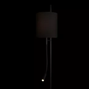 Торшер с подсветкой Loft it Ritz 10253F/B Black