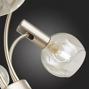 Подвесная люстра EVOLUCE Balchino SLE104203-06