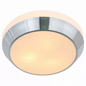 Накладной светильник ST-Luce Bagno SL469.502.03