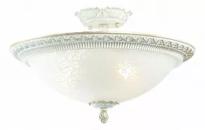 Светильник на штанге ST-Luce Fascino SL135.502.03