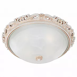 Накладной светильник Favourite Plafond 1444-4C