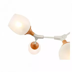 Люстра на штанге EVOLUCE Ciotolla SLE113502-05