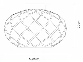 Накладной светильник Lucide Wolfram 21117/30/30