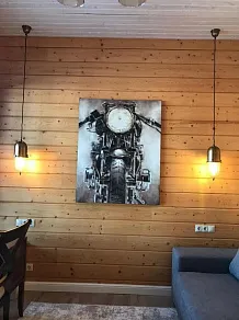 Подвесной светильник Covali  PL-30725