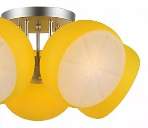 Потолочная люстра ST-Luce Arancio SL482.902.05