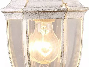 Подвесной светильник Arte Lamp Pegasus A3151SO-1WG