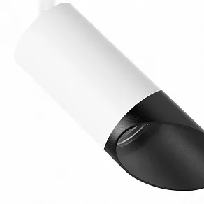 Светильник на штанге Lightstar Rullo R3T43637