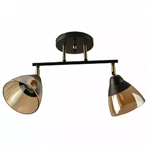 Спот Hiper Rafaelo H193-2