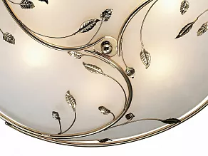 Накладной светильник Odeon Light Regana 2728/6C