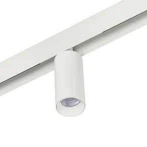 Светильник на штанге MyFar Ray MT0220-12W4K-W