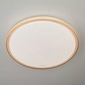 Накладной светильник Elektrostandard 40014 a041567