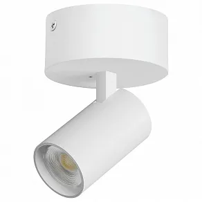 Спот Lightstar Alta Base A5246SO