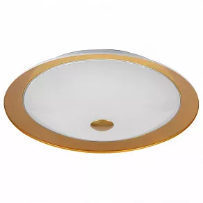Накладной светильник Maytoni Euler CL815-PT50-G