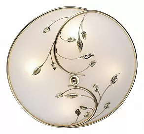 Накладной светильник Odeon Light Regana 2728/4C