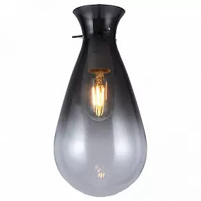 Подвесной светильник TopLight Margery TL1219H-01BS