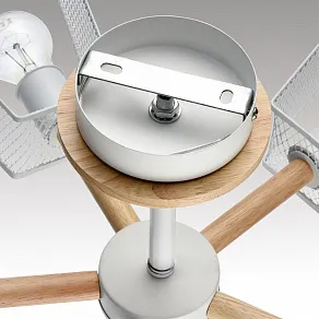 Люстра на штанге Lumion IRMA 8246/5C