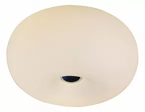 Накладной светильник ST-Luce Sfera SL297.502.03