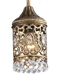 Потолочная люстра Odeon Light Salona 2641/7C