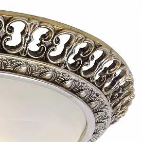 Накладной светильник Arte Lamp Torta A7132PL-2SA