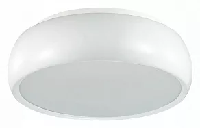 Накладной светильник Lumion Timo 4413/3C