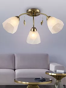Потолочная люстра Rivoli Olivia Б0052692