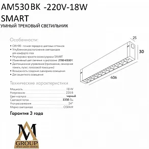 Накладной светильник AM-Group SMART GLASSES AM530 BK-220V-18W SMART