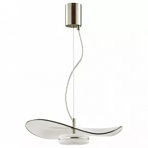 Подвесной светильник Odeon Light Fluent 4858/13L