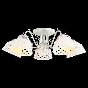 Потолочная люстра Arte Lamp Wicker A6616PL-5WG