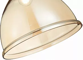 Подвесной светильник EVOLUCE Bacchi SLE114723-01