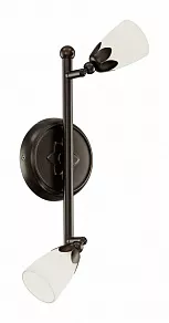 Спот Eglo Danielle 91428