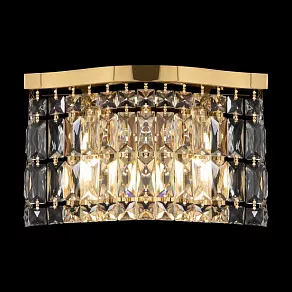 Накладной светильник Maytoni Dune DIA005WL-02G