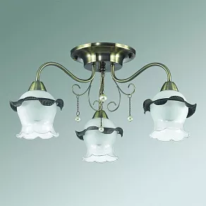 Потолочная люстра Lumion Zidoni 3239/3C