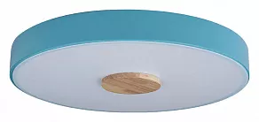 Накладной светильник Loft it Axel 2 10003/24 Blue