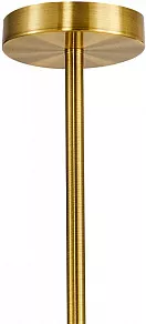 Подвесная люстра Favourite Sangamarmer 3009-12P