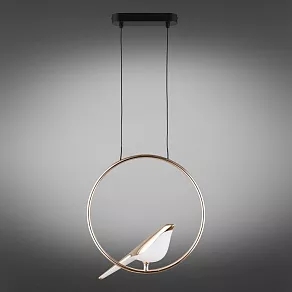 Подвесной светильник Aployt Astor APL.822.06.10