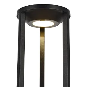 Наземный высокий светильник ST-Luce GLORR SL9535.405.01