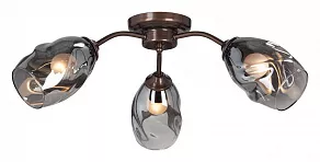 Потолочная люстра Vitaluce  V4936-7/3PL