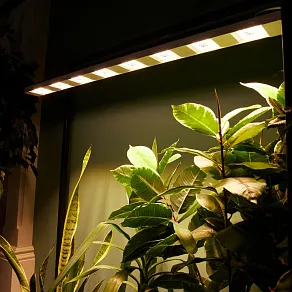 Светильник для растений Uniel ULI-P UL-00011265