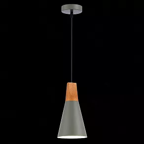 Подвесной светильник EVOLUCE Modica SLE125173-01