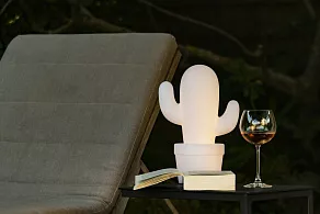 Настольная лампа декоративная Lucide Cactus 13813/02/31